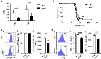 Kctd9 Deficiency Impairs Natural Killer Cell Development and Effector Function